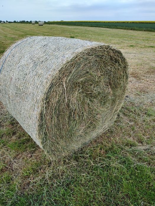 Vând 50 baloți de fân