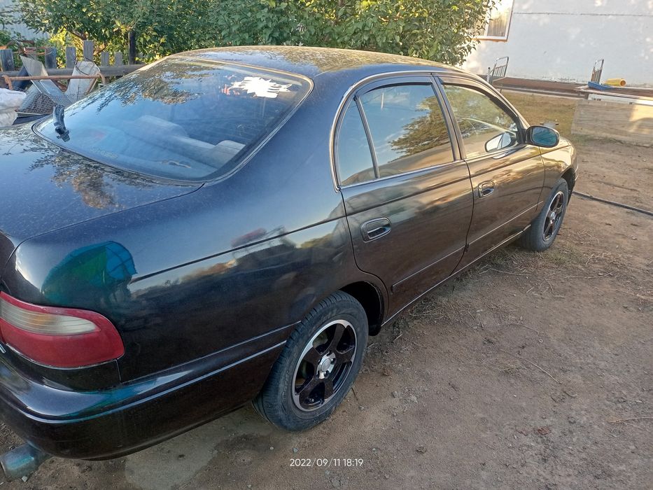 Продам  чистого японца