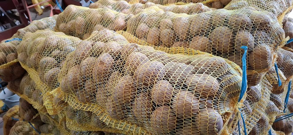 Картофи за консумация и семе