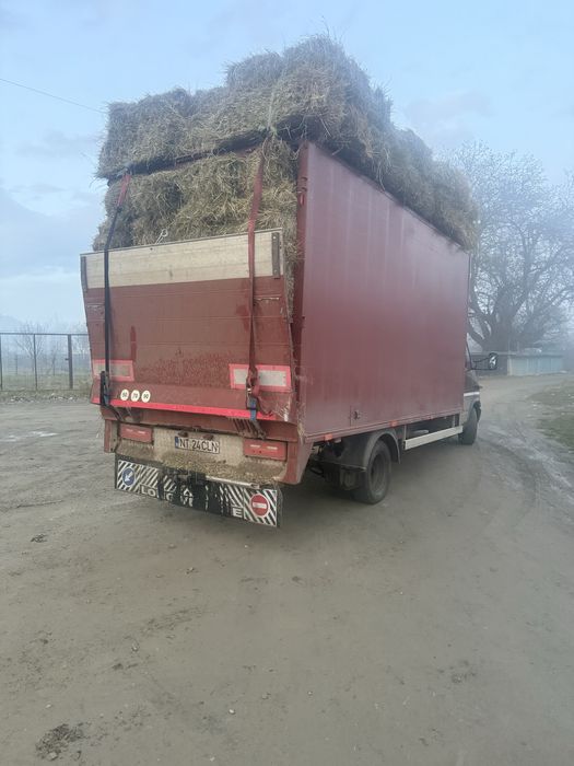 Vand baloti fan cu otava trasport la domiciliu