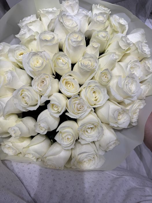 Продам цветы , белые розы, 51 шт, букет большой