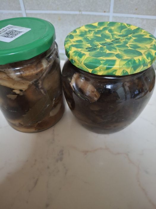 Грибы   маслята.