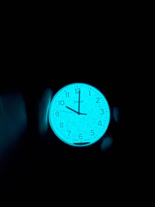 Vand Ceas Unisex Timex Indiglo CR 2016 CELL Curea Negra Piele