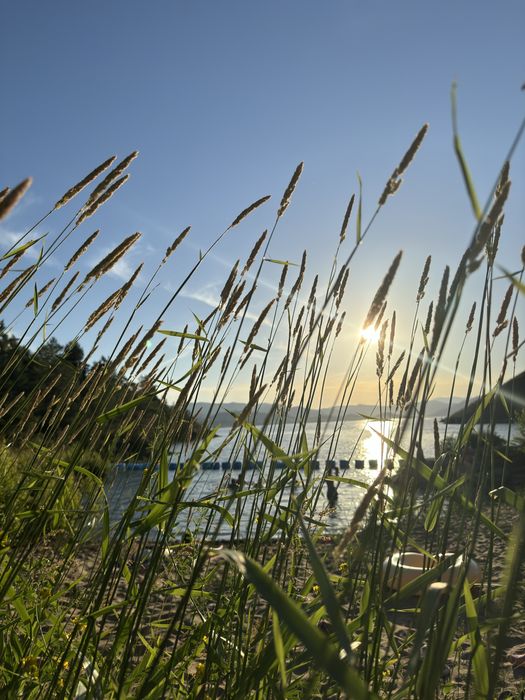 Продам земельные участки