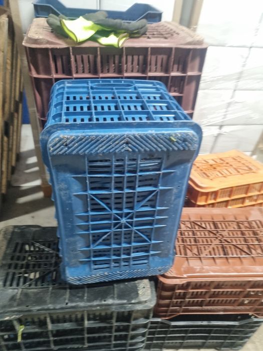 Lazi plastic, folosite
