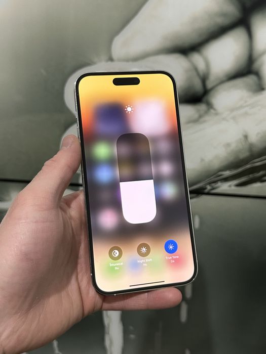 iPhone 14 Pro Max Silver