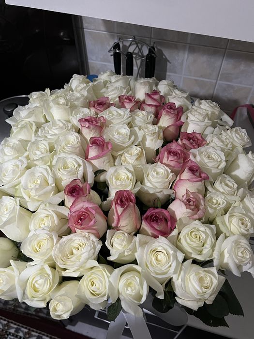 101 роза цветы свежие