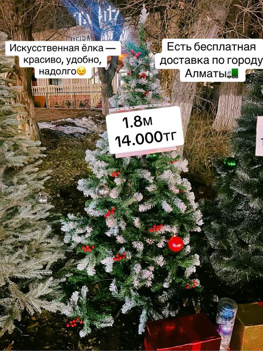 Ёлки , оптовые цены в розницу