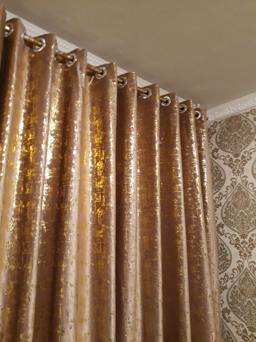 pardalar sotiladi yangi