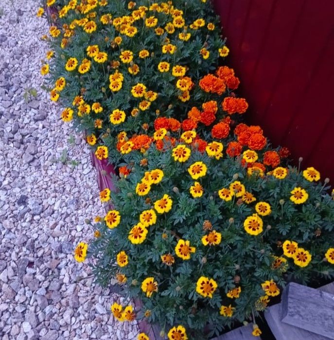 Отличная Дача с банькой