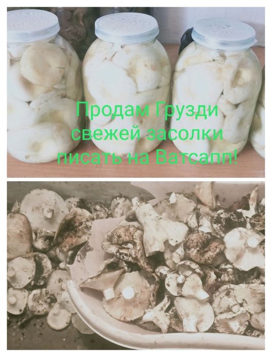 Продам Грузди свежей засолки 2л
