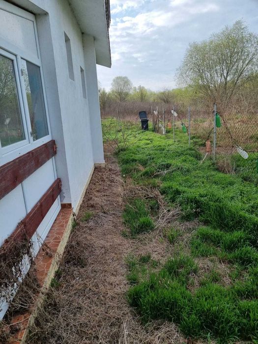Casă de vacanța în Delta Dunarii UZLINA