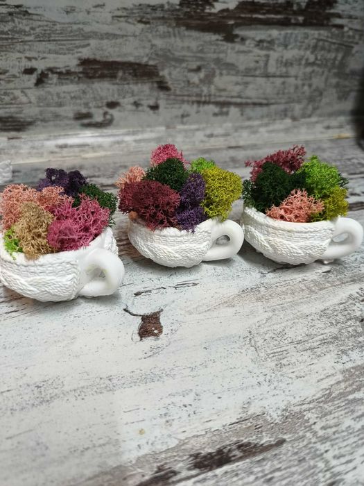 Гипсови чашки със скандинавски мъх