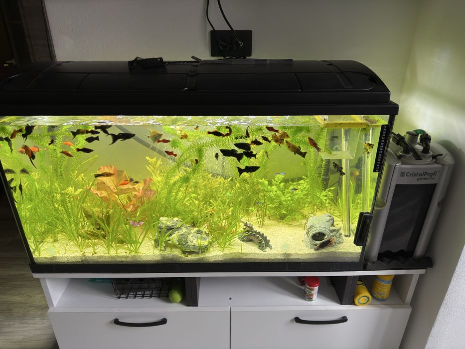 Acvariu + pompa cristal profi