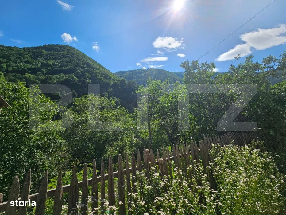 Casa traditionala - o investitie cu potential de dezvoltare, Capalna,