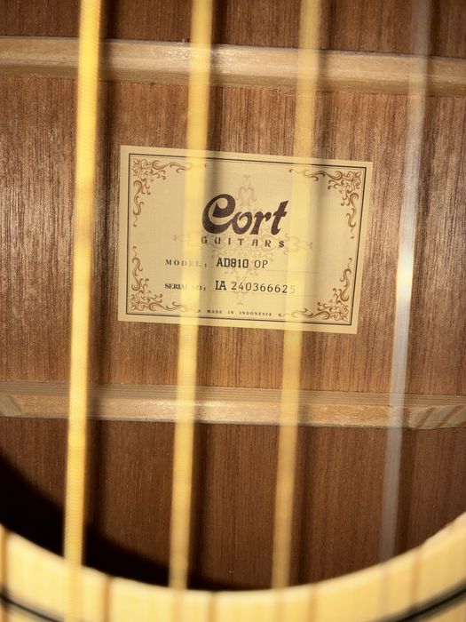 Гитара Gort AD810