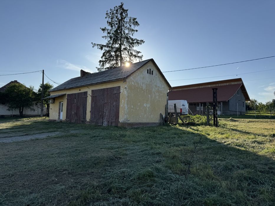 Intravilan com Mașloc jud Timis