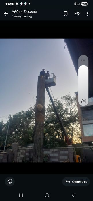 Спил деревьев не дорого Алматы