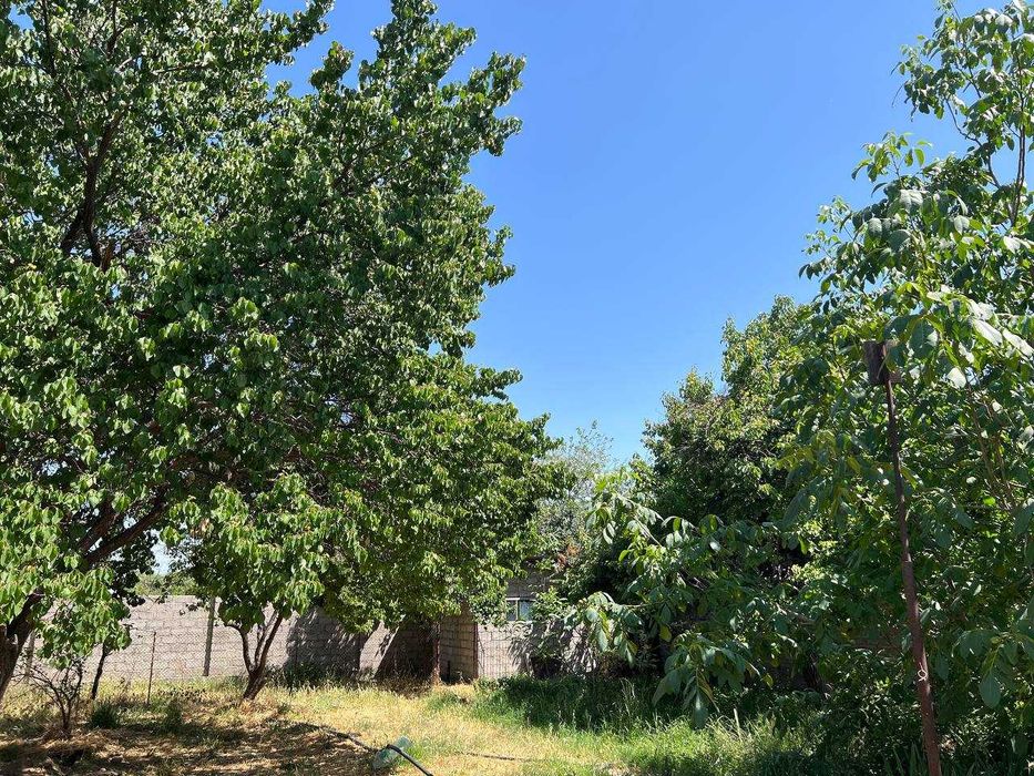 Продается дача 12 соток Ташморе (Пскент)