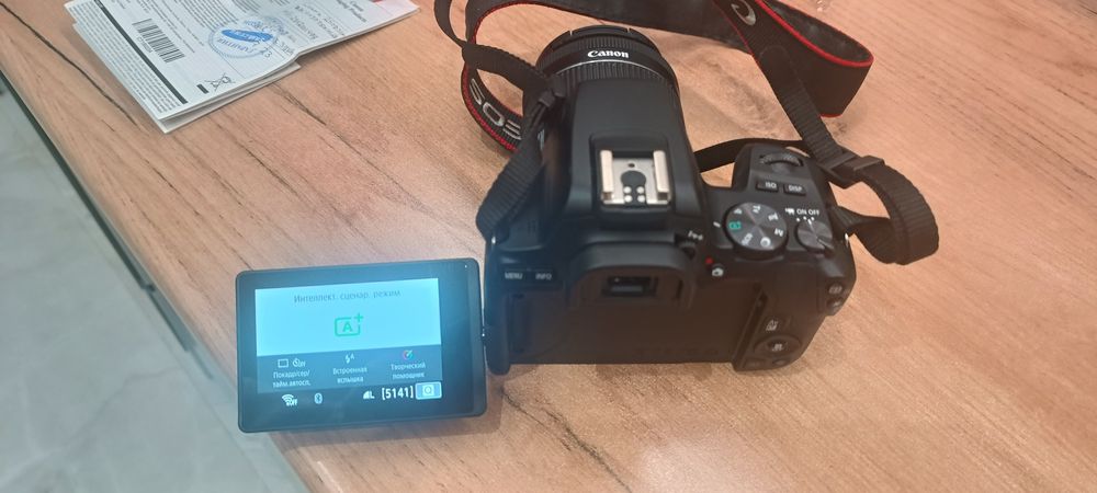 Canon EOS 250D Kit 18-55mm IS STM — В идеале, полный комплект!