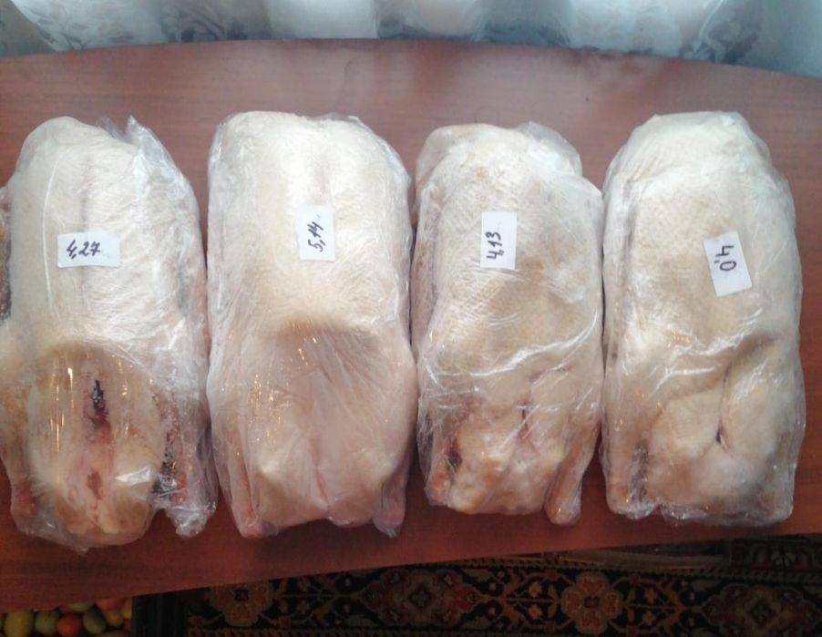 Продам гусей домашние