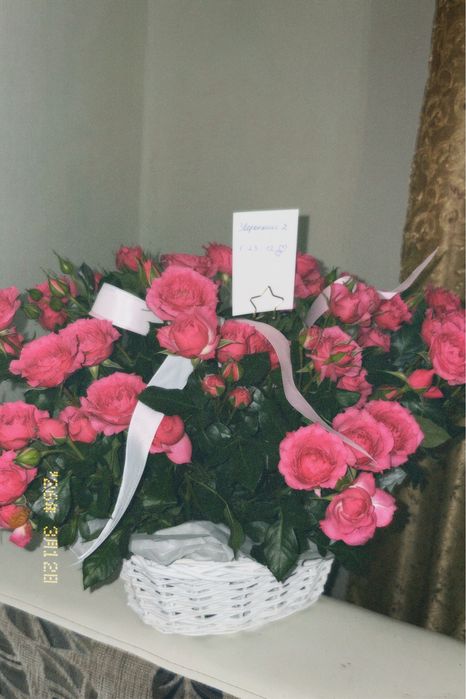 Свежие кустовые розы.