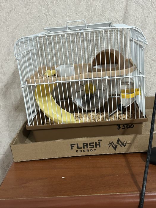 Продам хомяк со своим домом