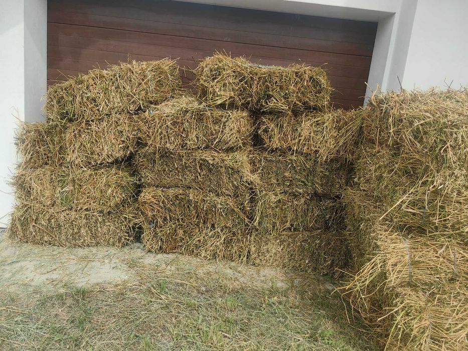 vand baloți de luterna coasa 1 si coasa 2