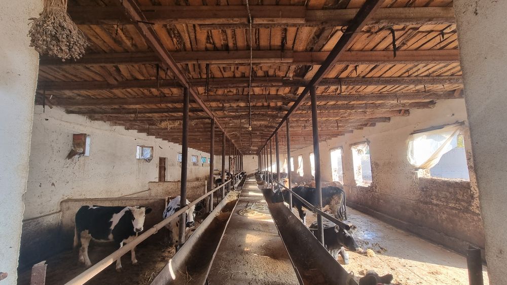 Жой арендага берилади ишлаб чикариш ёки исталган бизнес учун