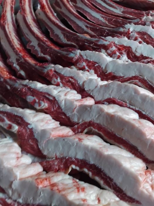 Продам мясо конина