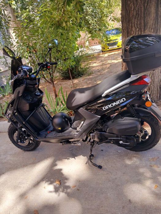 Drongo skutir yengi xali azgina yurgan