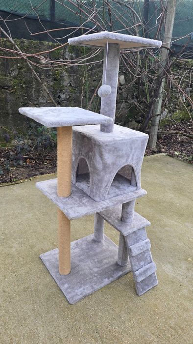 Катерушка котешка