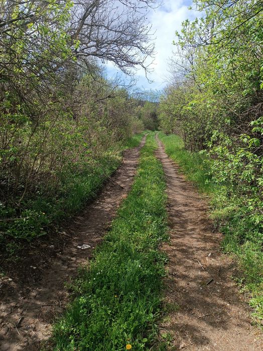 УПИ- Кондофрей област Радомир