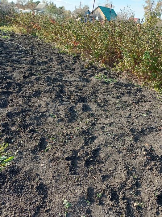 Продам дачу общество Вишенка