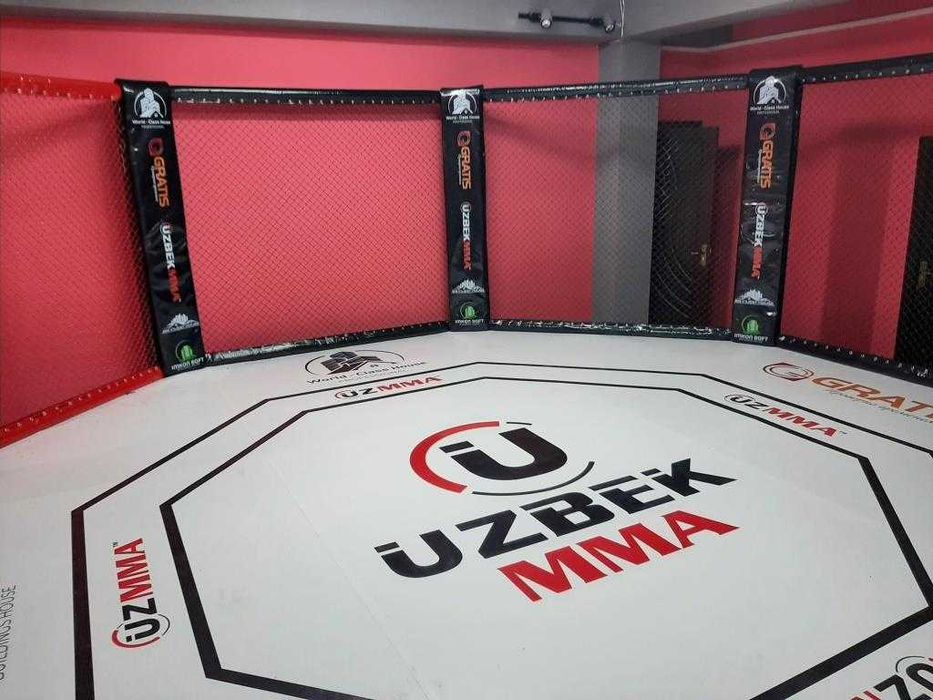 Октагон UFC background