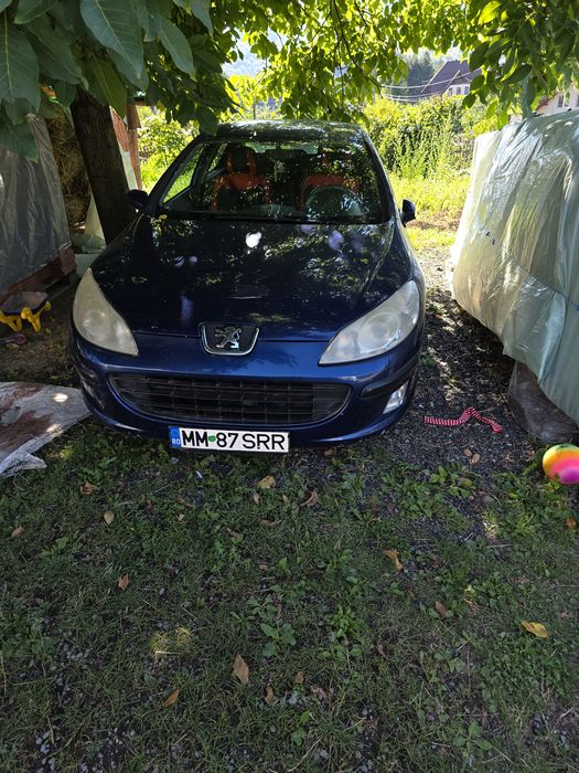 PEUGEOT 407 2006 — imagine 2