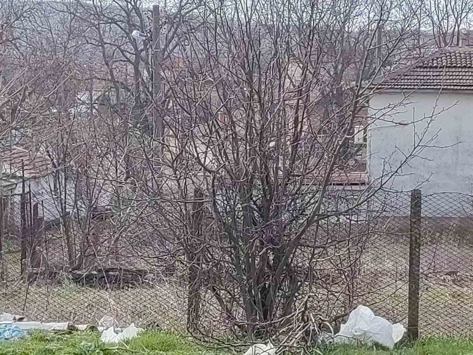 Продава се Парцел в с. Яворово, Област Кърджали - 400 кв.м за 23 €/кв.м - Снимка #2