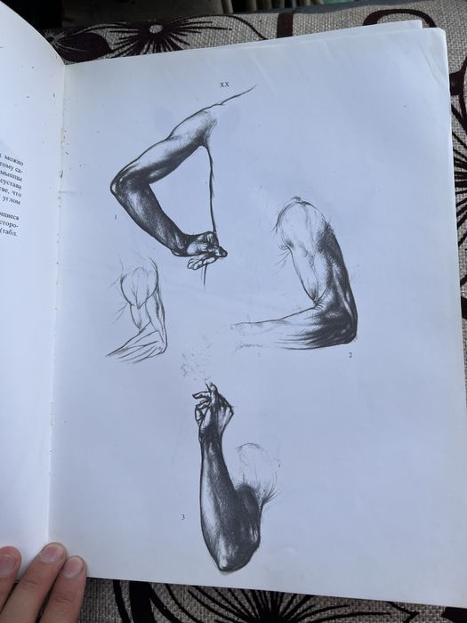 Книга Анатомия для художников