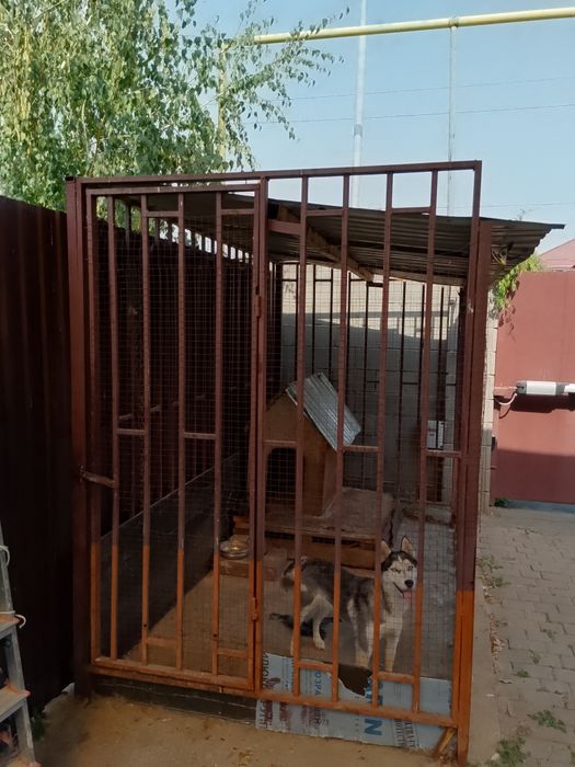 Вальер для собак