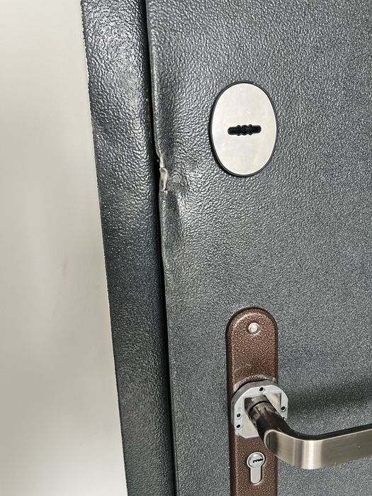 Входная металлическая дверь