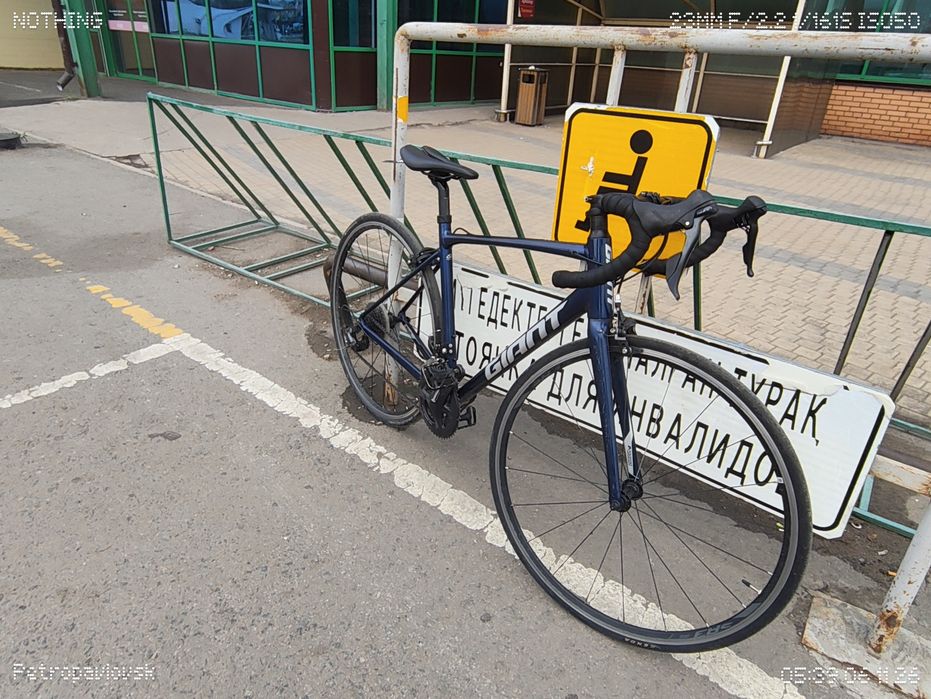 Giant contend 1 с торгом