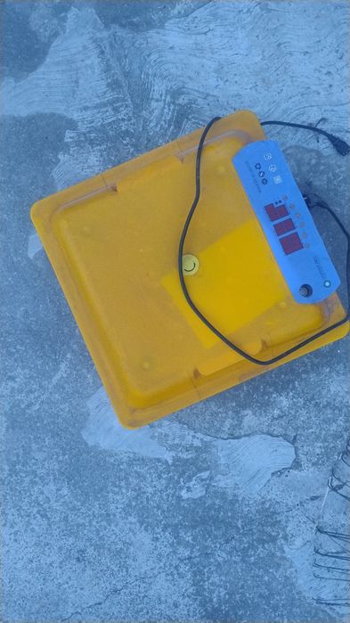 Incubator  automatizat ouă păsări