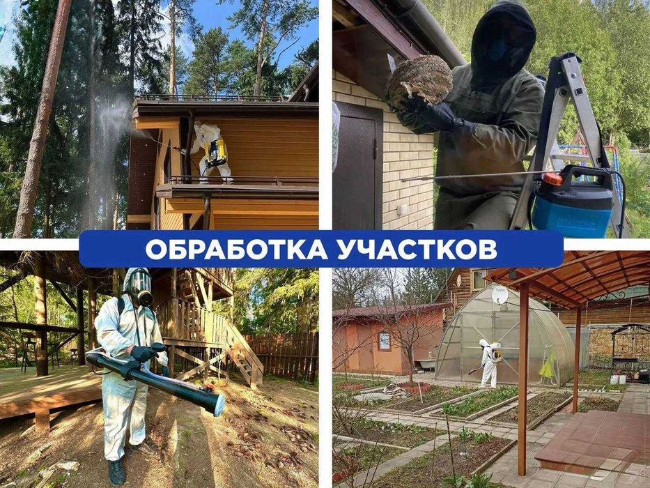 Уничтожение клопов, травля тараканов. Дезинфекция