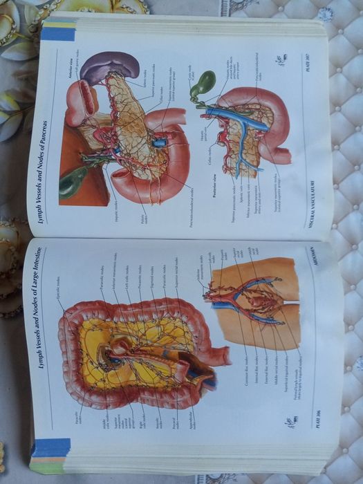 Atlas anatomiyasi sotiladi