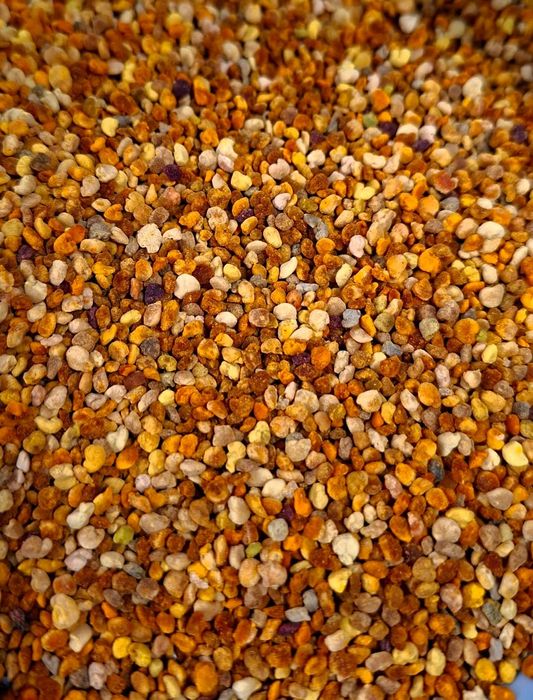 Пчелен билков мед 2025г  за  Шумен безплатна доставка