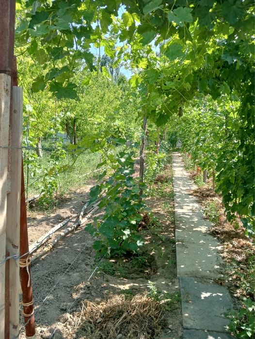 Продам участок с домом
