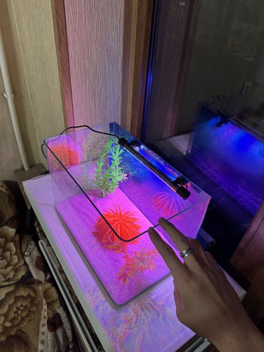 Аквариум 19 литров