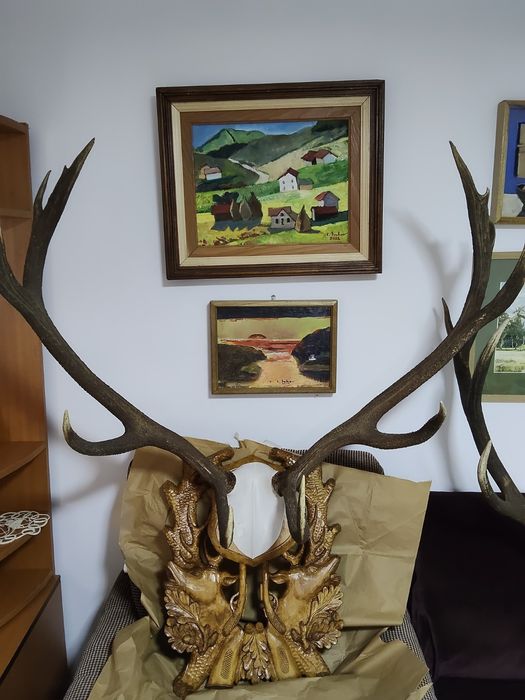 Trofee vânătoare ( panoplii și suporți)