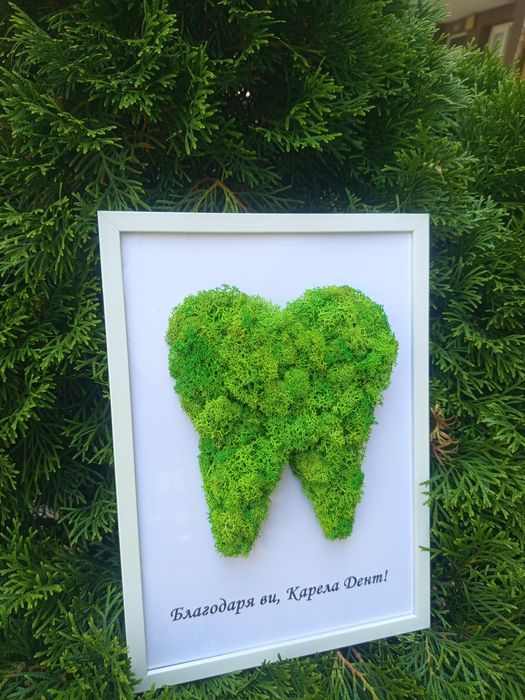 Скандинавски мъх - декорация, пана