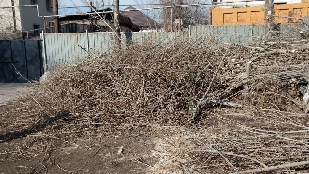 Отдам дрова даром